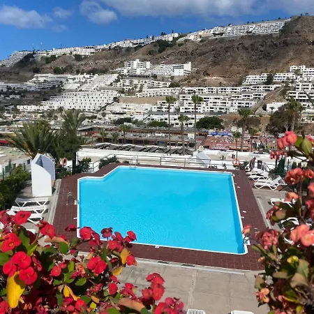 Modern Duplex Near Swimming Pool