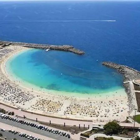 Modern Duplex Near Swimming Pool